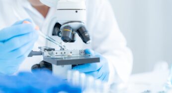 Oxford-led research exhibits vaccine safety towards Paratyphoid