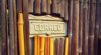 Mexico Newsletter — December 2025